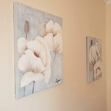 Régia Appartement Funchal (Madeira)